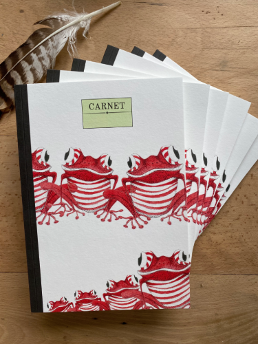 Carnets ronde de grenouilles