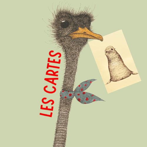 l'autruche des cartes